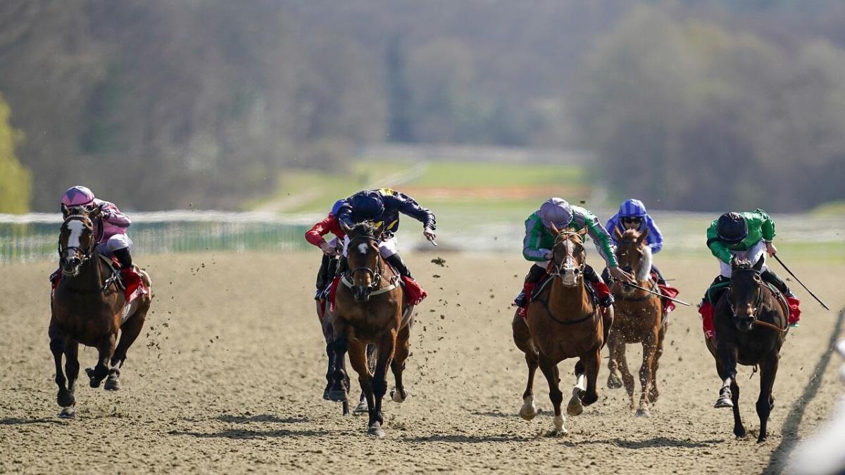 Horse racing at Lingfield